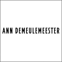 ANN DEMEULMEESTER